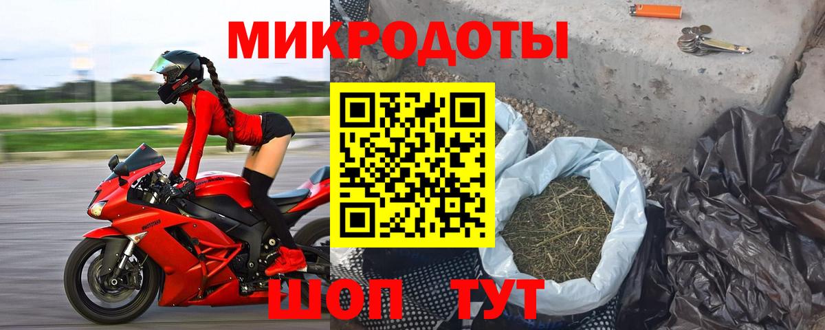 Галлюциногенные грибы Cubensis Ефремов